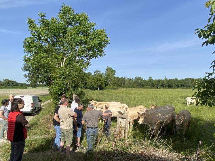 Visite Aquitanima tour blondes d'aquitaine Interco Jean_pierre Caillé 79