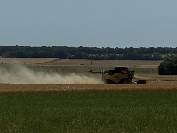 Les moissons se poursuivent, dans des conditions difficiles.