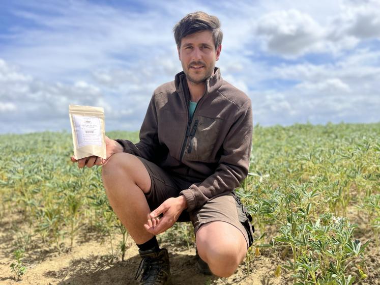 Maxime Pin a semé ce lupin de printemps en mars, sur une parcelle de 3 ha.