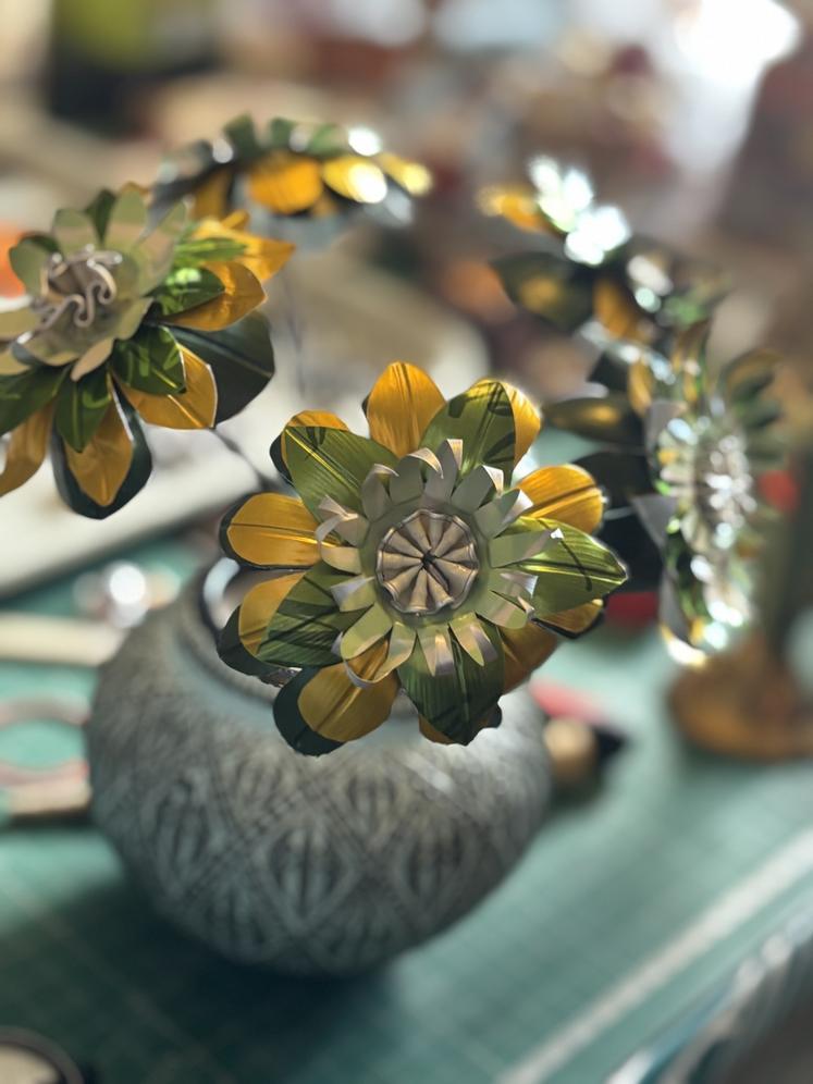 Ces fleurs réunies dans un pot peuvent être utilisées en extérieur.