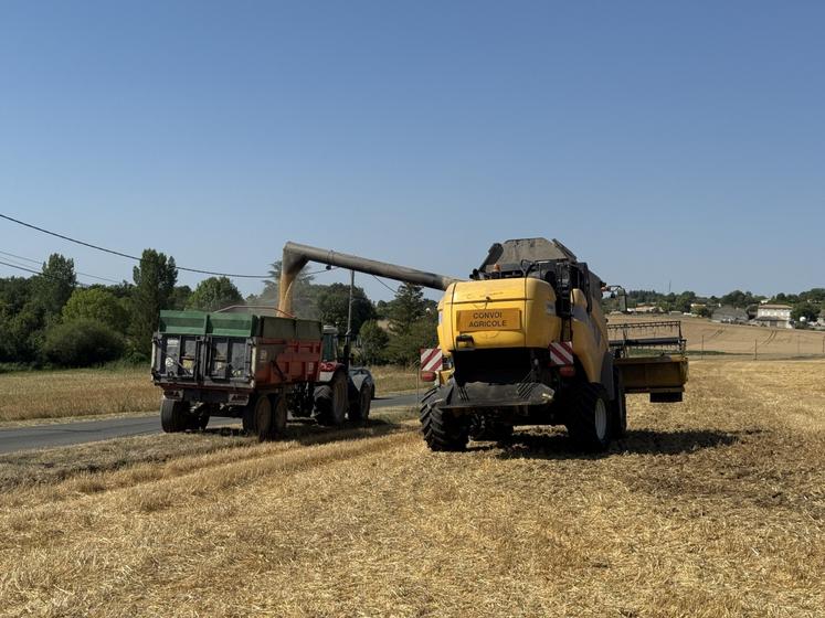 Moisson bien avancée à La Couronne.