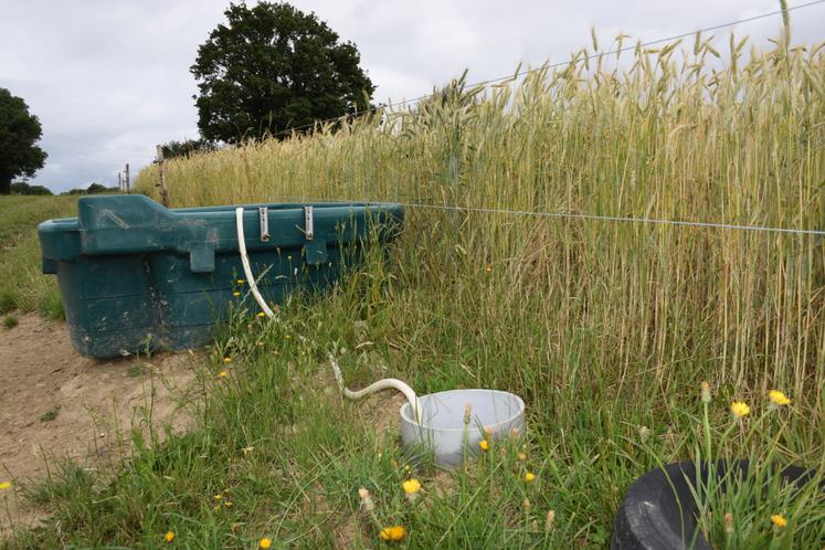 Les bassins sont placés en bord de parcelles pour ne pas gêner les interventions culturales.