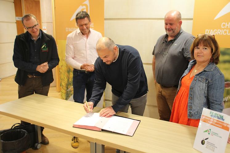 La Chambre d'agriculture de la Vienne a signé un partenariat avec l'interprofession Olives Avenir.