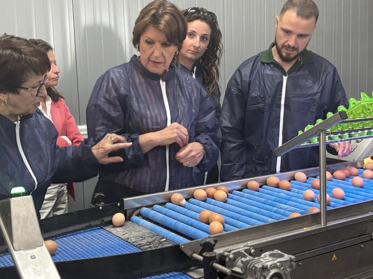 Annie Genevard, ici aux côtés de Jérôme Bourdeau et sa compagne, mais aussi de Christiane Lambert, a visité l'exploitation : depuis le poulailler jusqu'à la chaîne de tri des œufs.