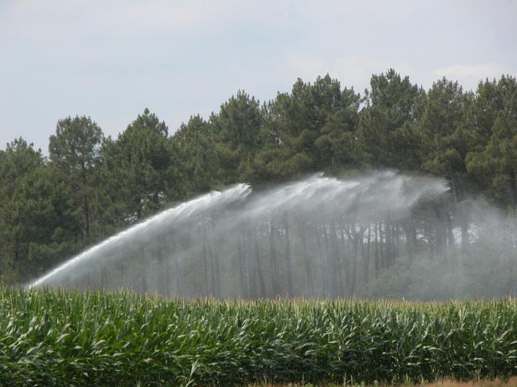 Une première irrigation peut être envisagée dès aujourd'hui si la ressource en eau le permet.