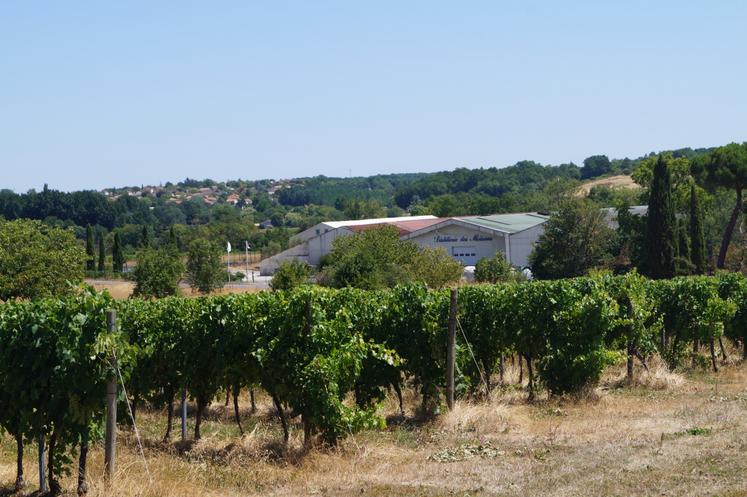 Le cognac Deau est la marque phare de la distillerie des Moisans.