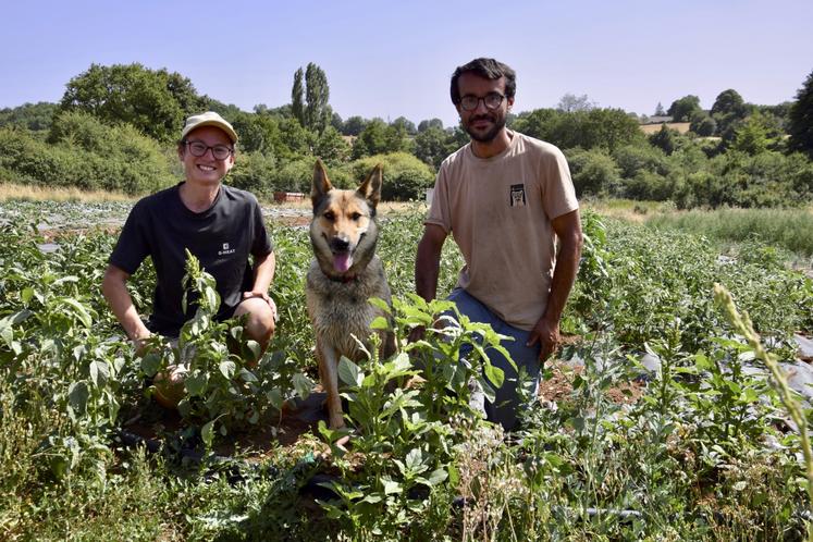 Cheyenne Defontaine et Alexis Blanchet sur le site de maraîchage de leur GAEC à Cellefrouin.