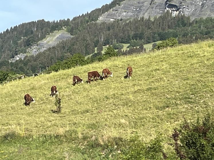 voyage des anciens 2026 haute savoie