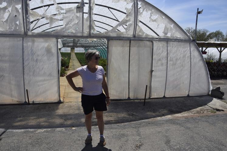Jeannie Déchant devant une des serres de son exploitation horticole, touchée par la grêle le 16 juillet à Chenommet.