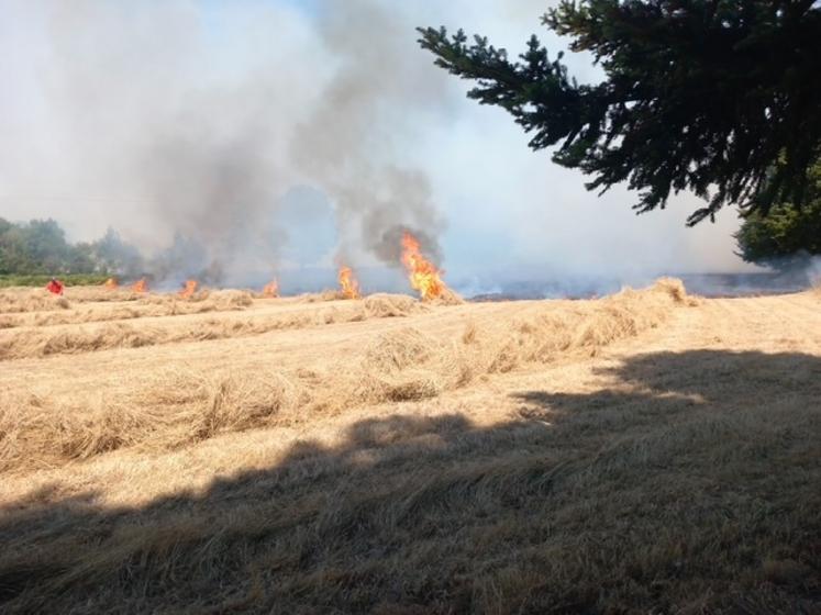 Le feu de Roussines s'est déclenché le 12 juillet. En tout, une douzaine d'agriculteurs sont arrivés sur les lieux de l'incendie avec déchaumeurs et tonnes à eau. 80 pompiers et un hélicoptère Puma ont été mobilisés.