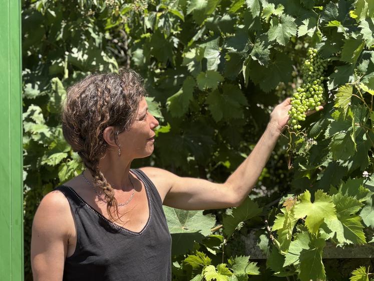 La viticultrice dispose de vignes au cœur de Potiers.
