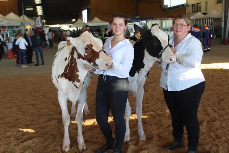 Plus d'une cinquantaine de vaches Prim'Holstein devraient participer au concours régionale
