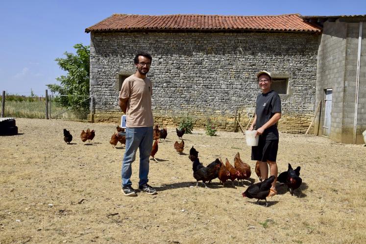 Bientôt, les poules pondeuses seront rejointes par d'autres volailles en vue de produire des poulets de chair sur le site de Saint-Front.