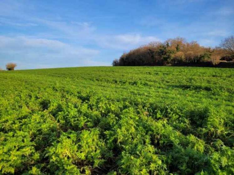 Décarbonation et filières qualité, la stratégie d'avenir de la coopérative La Tricherie.