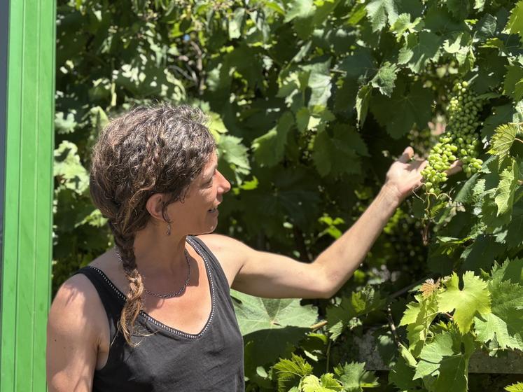 Barbara Jovino vigne Poitiers
