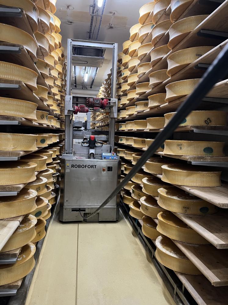 La visite d'une laiterie a permis de découvrir la fabrication du beaufortin.