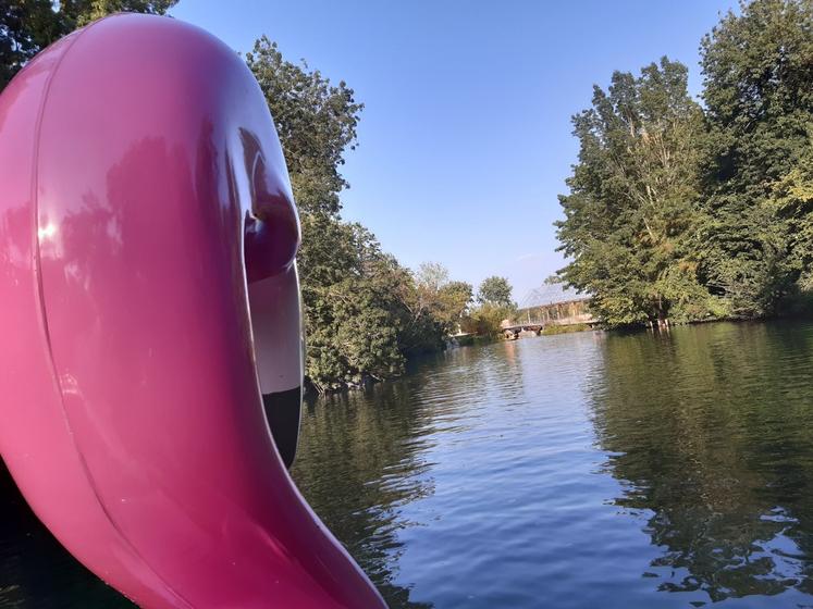 Didier flamant rose pedalo Tison Poitiers rivières clain