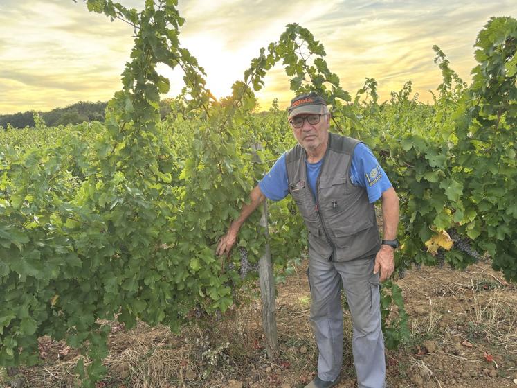 Jean-Dominique Surault fera cette année ses dernières vendanges.