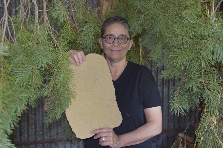 Entourée de branches de pin sylvestre en cours de séchage, Emmanuelle Boyer présente un papier réalisé à partir de cette plante, qui en fumigation sert d'antiseptique et de tonifiant.