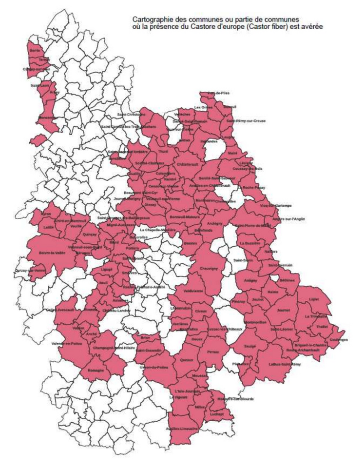 Cartographie des communes ou partie des communes où la présence du castor d'Europe est avérée.