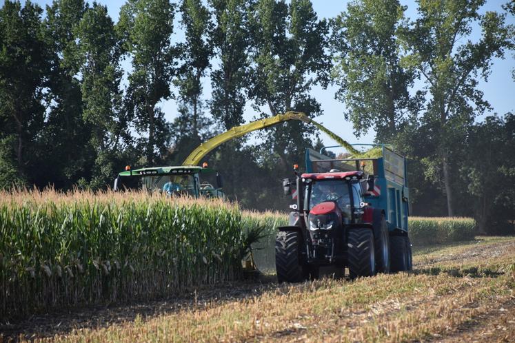 Ensilage maïs août 2026 Sarraud Tardy