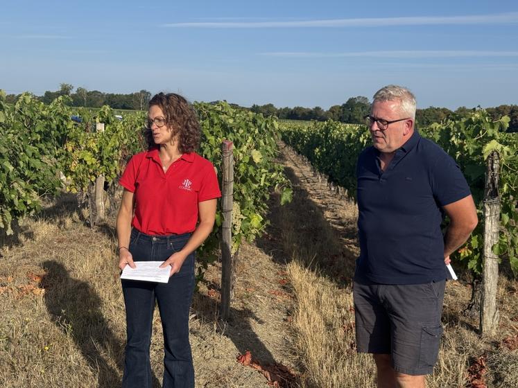 Les prospections collectives viennent compléter le travail des viticulteurs sur leurs parcelles.