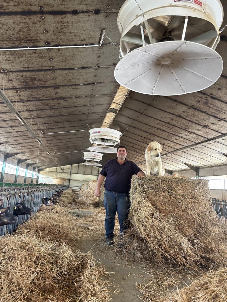 L'installation des ventilateurs est un grand soulagement pour Cédric Turpeau qui voit ses chèvres avoir de nouveau de l'appétit.