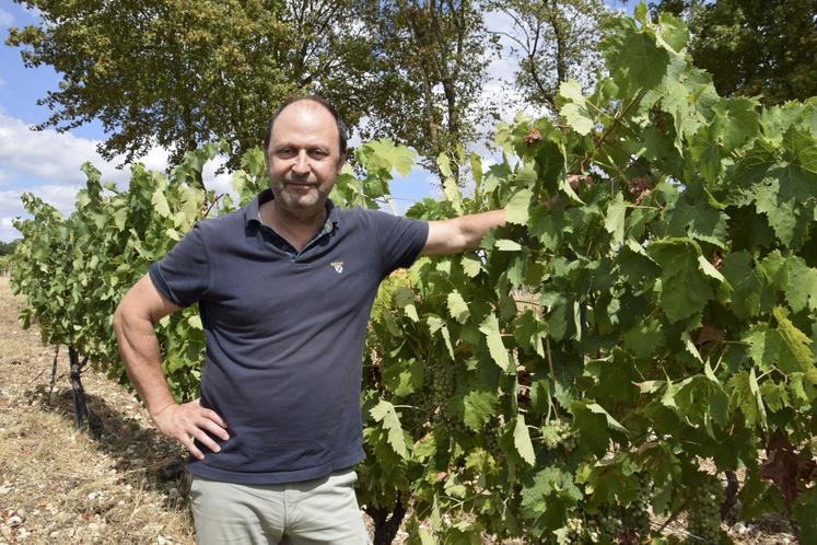David Ramnoux compte dix hectares de vignes à Mareuil.