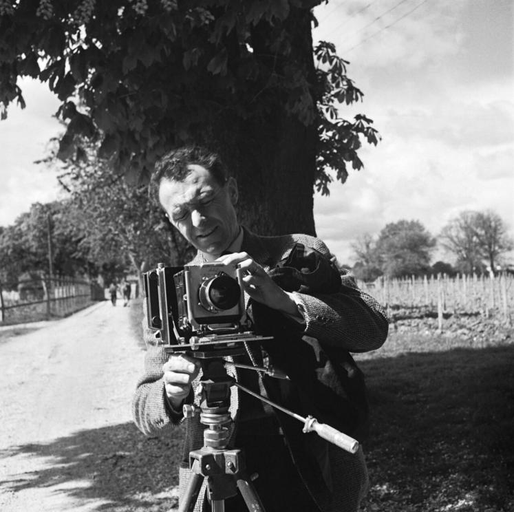 Doisneau par Doisneau dans les vignes de Cognac.