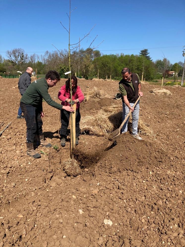Chacun peut réserver un arbre