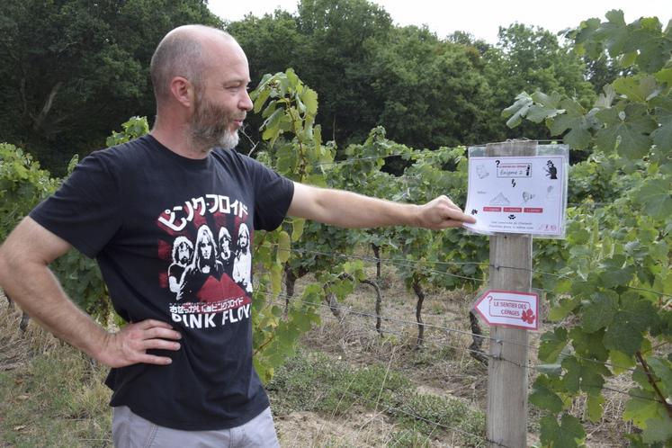 Denis Martin-Benassy accompagne les visiteurs en leur faisant découvrir le travail de la vigne.