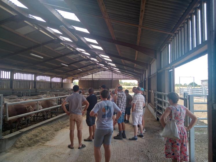 Visite de l'élevage de Blonde d'Aquitaine au Gaec Lespois. 