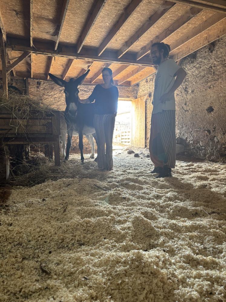  Alice Bioche et Nicolas Roy utilisent des copeaux de bois depuis un an et demi pour le paillage de leurs ânes.