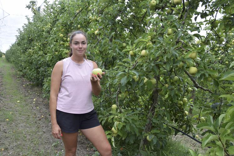 Victoria Sauvaitre dans un verger de Belchard Chanteclerc au Tastet, à Reignac.
