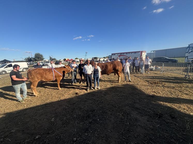 Une quinzaine d'éleveurs de la région ont participé au régional Limousin.