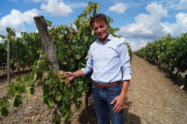 Julien Georget, précurseur d'une nouvelle activité de "coach viticole" en Charentes.