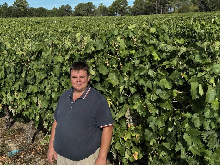Sur les hauteurs de Montguyon, en Charente-Maritime, Julien Moucheboeuf, viticulteur de quatrième génération à la tête de la SCEA de la Bauderie.