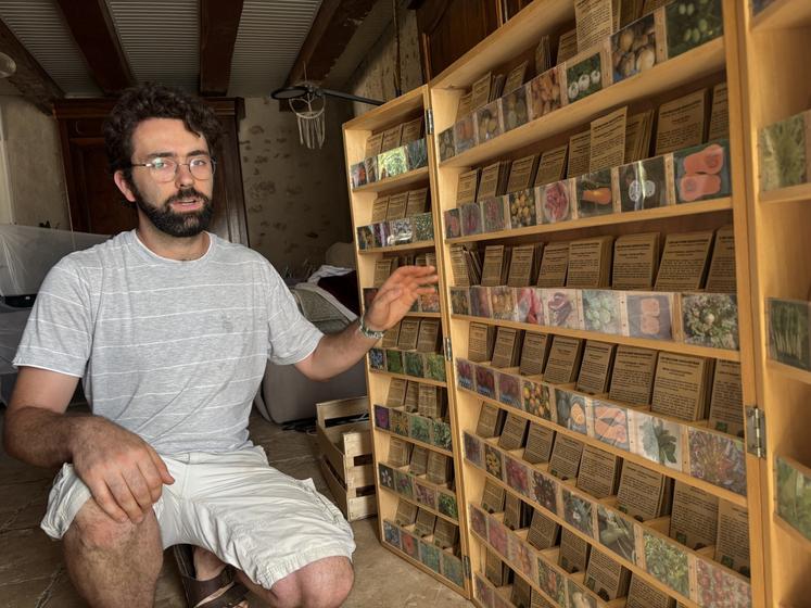 L'artisan semencier propose en permanence une centaine de variétés de graines différentes.