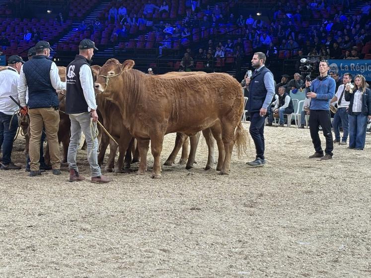 Alexandre Humeau ( à droite) a jugé vendredi après midi les animaux qui concourraient pour leurs qualités bouchères.