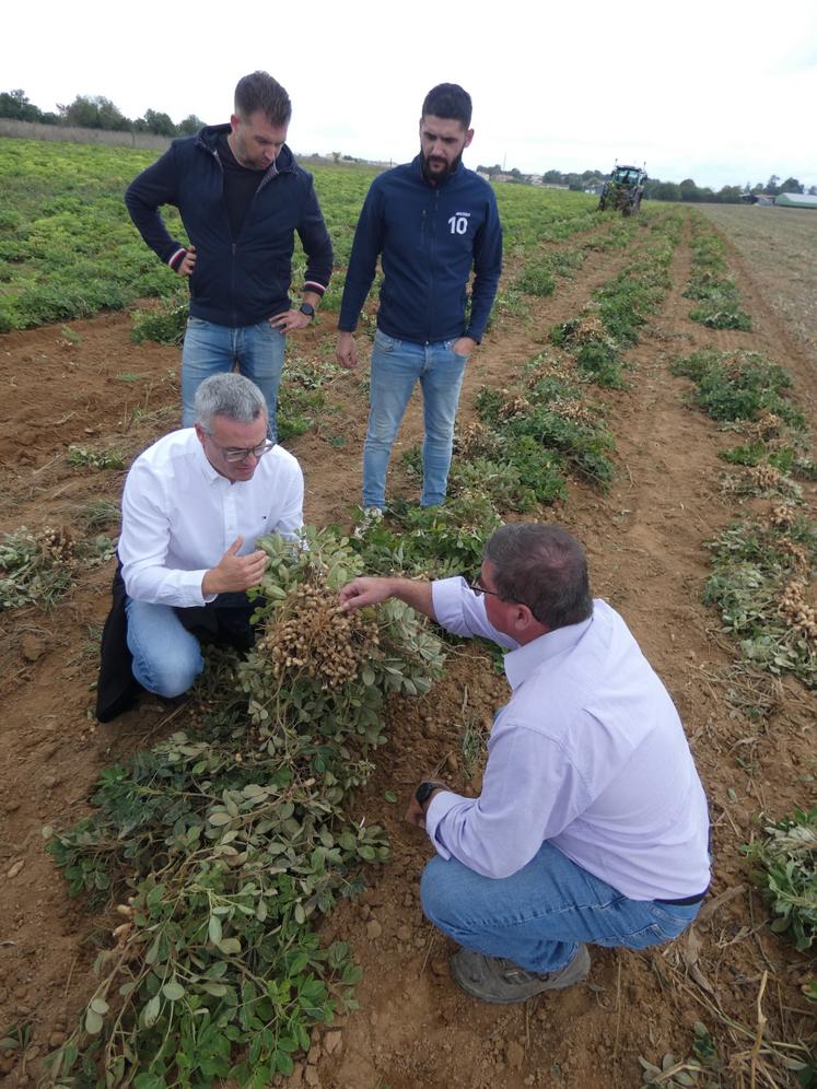 Thibault Guionneau (au centre, à côté de Mickaël Bertrand et derrière Guillaume Lamy et Jean-François Arnauld) est satisfait de sa première année dans cette nouvelle filière.