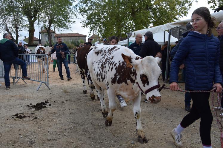 Le public n'a pas boudé son plaisir en venant à la rencontre des éleveurs et de leurs animaux.