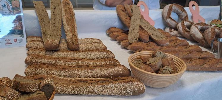 Trois étudiants en boulangerie ont créé des pains au chanvre exposés et dégustés (aux fruits secs, au seigle, au sésame, sur levain liquide ou pâte fermentée, aux céréales, aux légumineuses, ciabatta chorizo-chanvre, burger chanvré...).