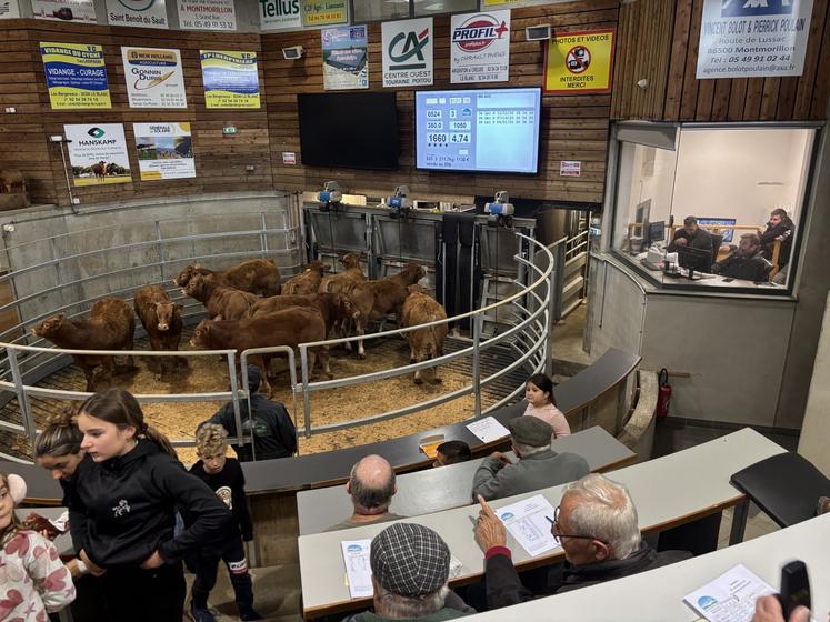 Lundi, la quasi-totalité (99,6 %) des 479 bovins proposés à la vente au Cadran de Coulonges-les-Hérolles se sont vendus.