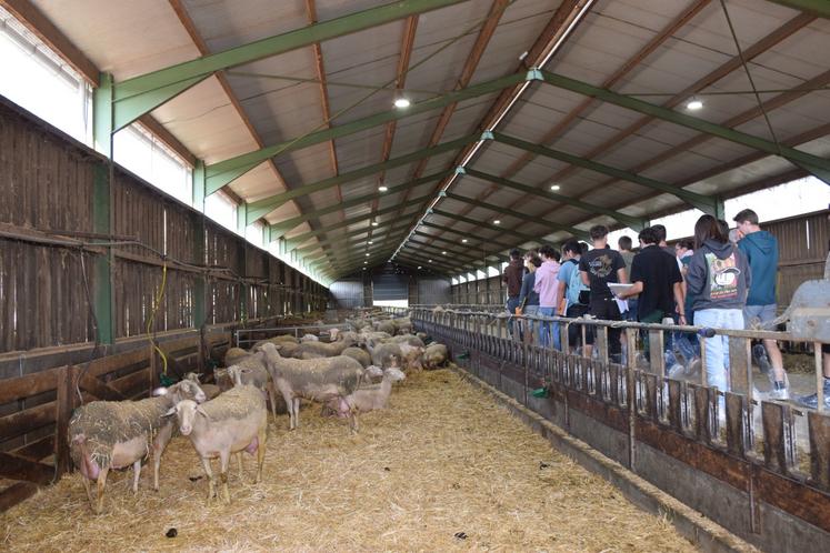 Les élèves du MFR-CFA La Grange découvrent les lumières installées dans le bâtiment pour le photopériodisme.