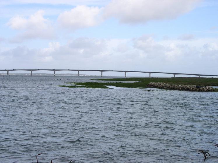 Malgré les 16 M€ d'entretien dépensés depuis 1991, le pont, emprunté par 3 millions de véhicules chaque année, nécessite un chantier de rénovation d'ampleur.