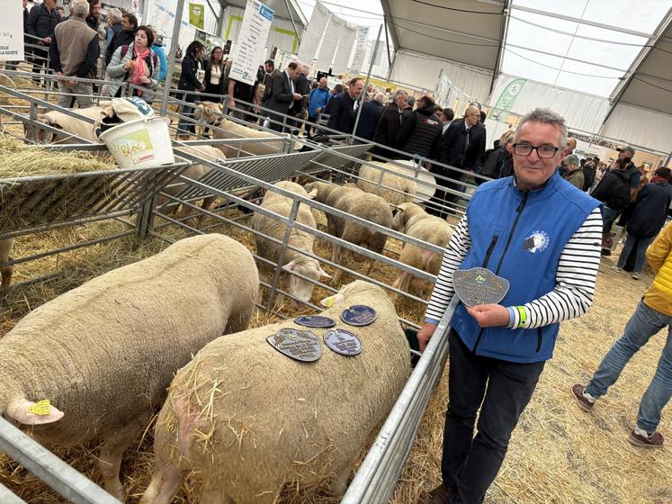 Philippe Berger a déroché 5 prix avec ses 9 moutons île de France.