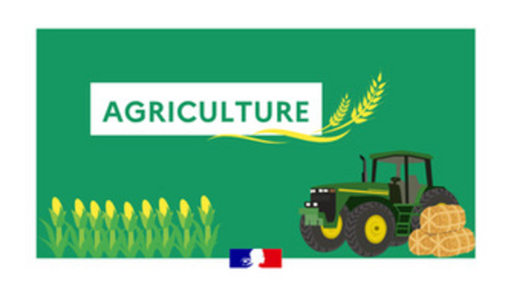 Fonds de réarmement agricole