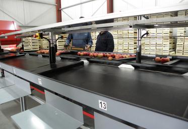 Pour rappel, le DUERP est obligatoire depuis 2001, pour toute entreprise qui emploie du personnel, y compris les apprentis ou les alternants. 