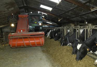 Le logiciel Optim’AI calcule une ration pour les vaches laitières à l’auge en optimisant l’économie et l’autonomie protéique. 