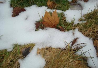 L’herbe trop haute avant l’hiver finit par faner et peut constituer un paillage néfaste au redémarrage de la prairie au printemps.